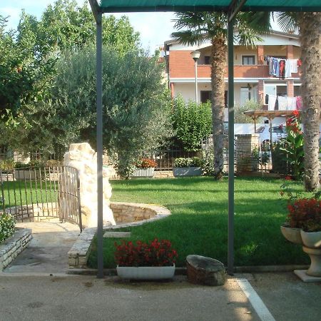 Apartments And Rooms Branka Novigrad Istria Exterior foto